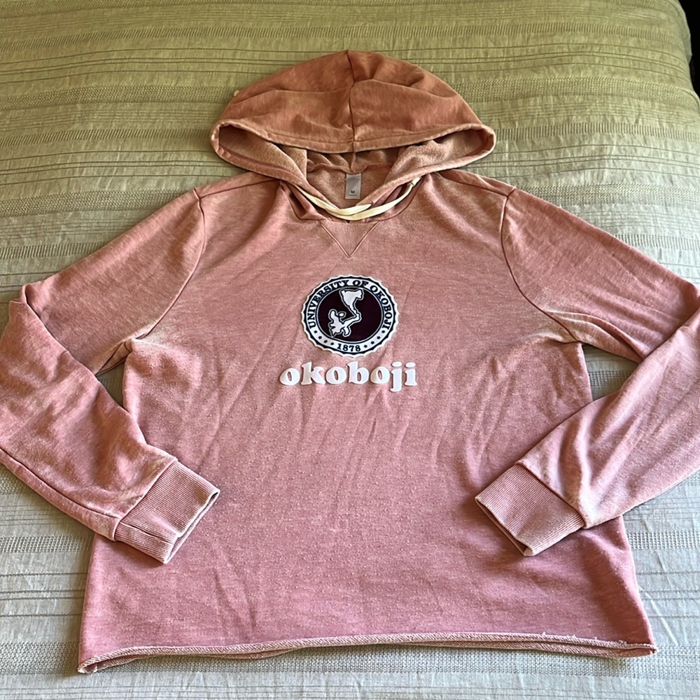 Women’s Okoboji Alternative Apparel Weathered Hoodie, size medium, pink